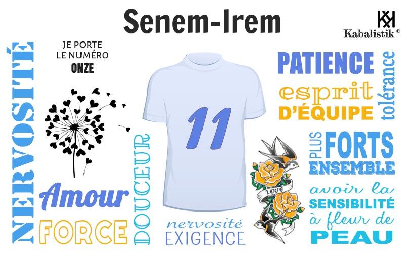 La signification numérologique du prénom Senem-irem