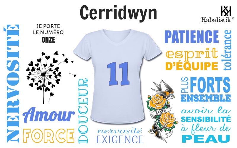La signification numérologique du prénom Cerridwyn