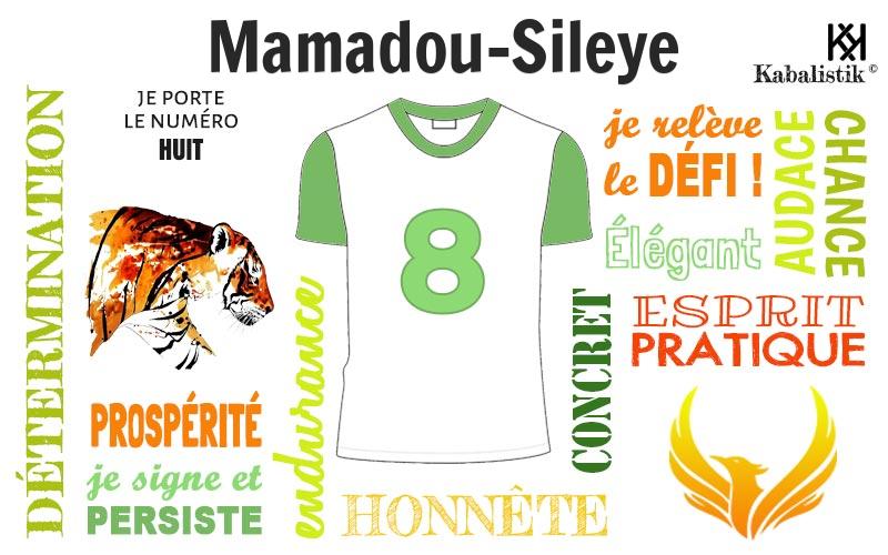 La signification numérologique du prénom Mamadou-Sileye