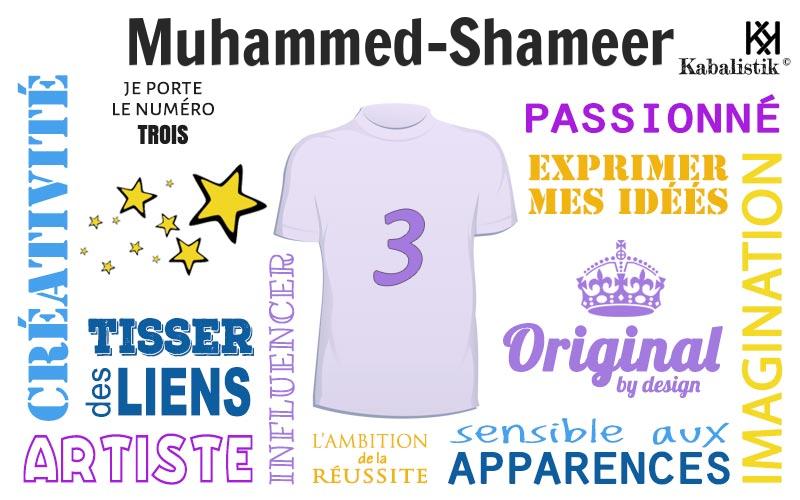 La signification numérologique du prénom Muhammed-Shameer