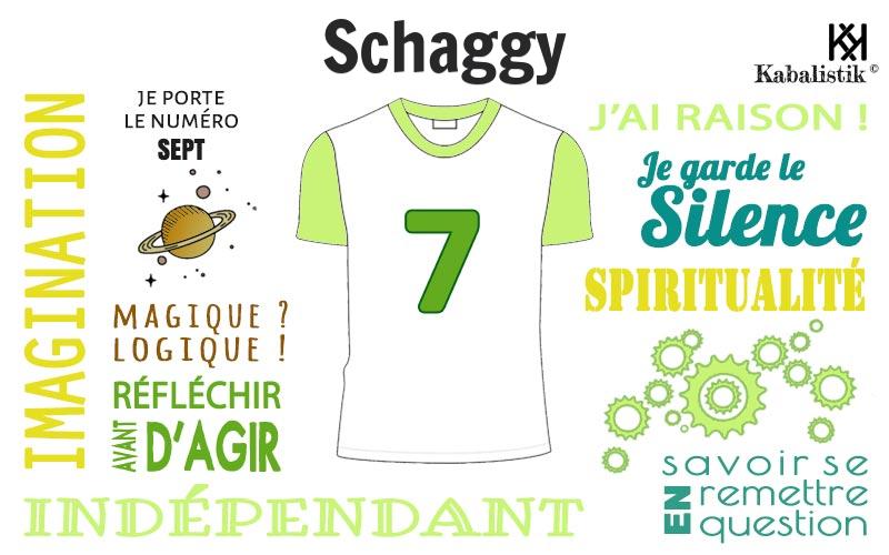 La signification numérologique du prénom Schaggy