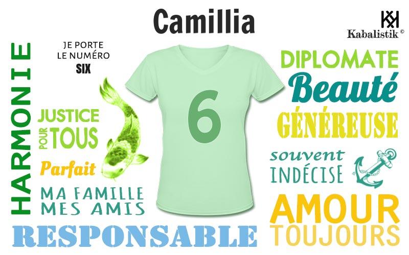 La signification numérologique du prénom Camillia